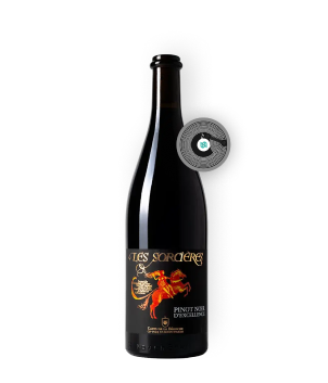 Botellas de vino conectadas